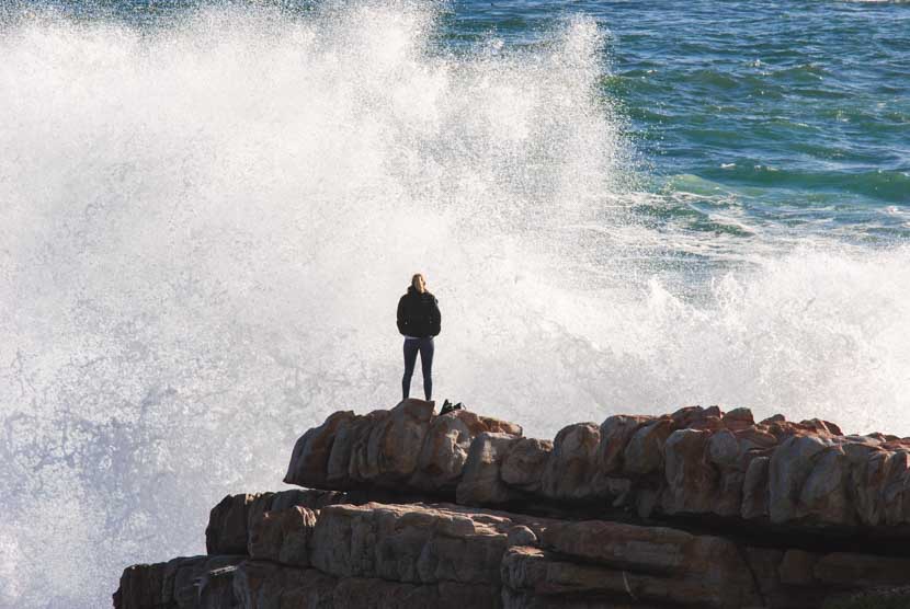 Nr. 3: Hermanus