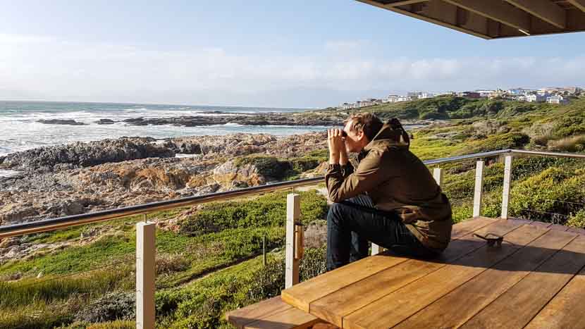 Whale Whatching von unserem Balkon