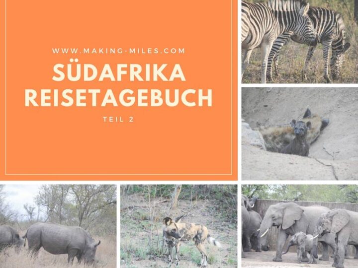 Südafrika-Reisetagebuch