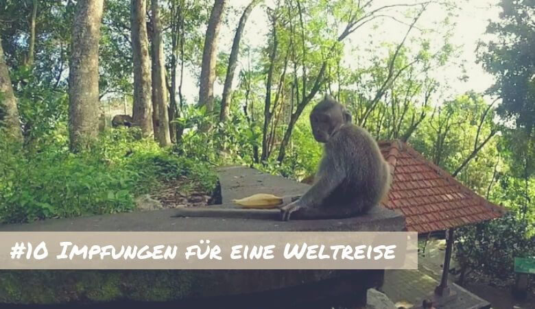 Weltreise Impfungen